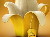 service comestible Curtis