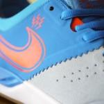 nike-sb-project-ba-premium-photo-blue-team-orange-04