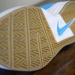 nike-sb-project-ba-premium-photo-blue-team-orange-07