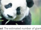 Office Mobile arrive Android