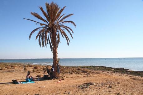 La plage des mille palmiers. Vide.