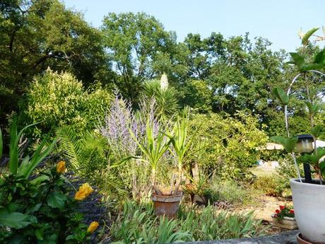 Maison de vacances, la bergerie provençale…