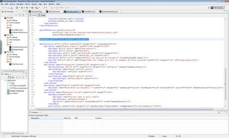 Envirronement de la plateforme Flex