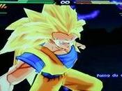 Tournoi Budokai Tenkaichi