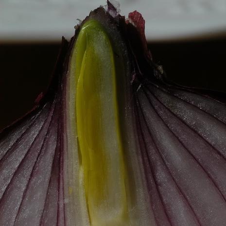 La récolte de Franpineuf