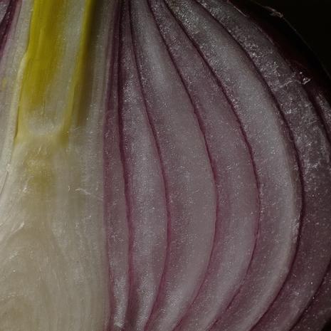 La récolte de Franpineuf