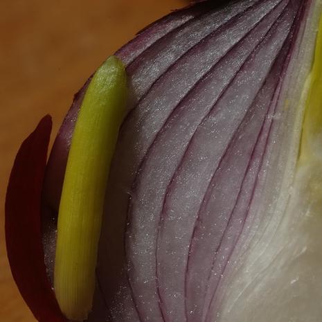 La récolte de Franpineuf