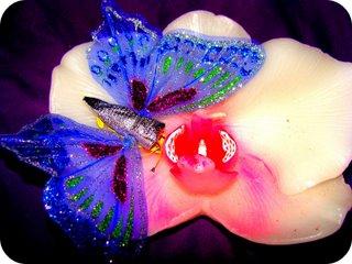 Un papillon a fait le printemps