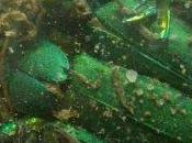 Antilibéral antitravail