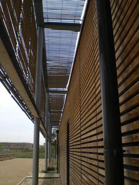 Les jardins du Musée d'histoire naturelle à Toulouse