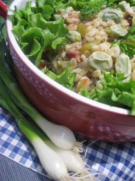 Salade de gourganes, orge et pancetta
