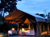Petit guide parfaite campeuse (partie c’est l’heure Glamping!