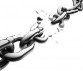 Égypte : pas de démocratie sans liberté économique