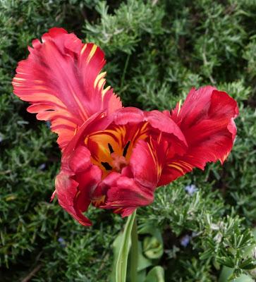 La liste de mes courses