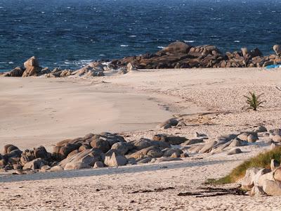 Le printemps est aussi une qualité