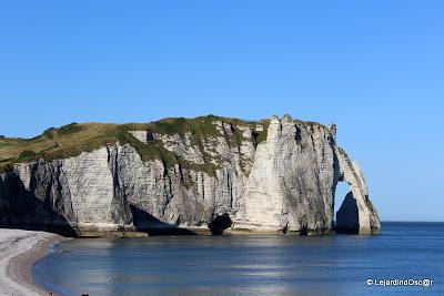 En ce moment, je suis au ralenti, le jardin me semble par...