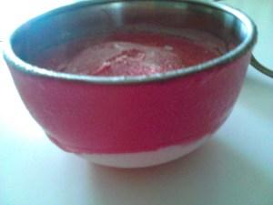 glace yaourt (5)