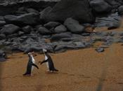 Photo jour vendredi aout