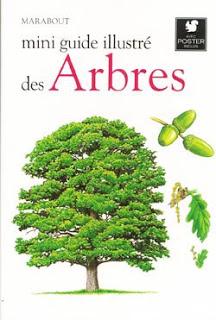Mini guide illustré des arbres, aux éditions Marabout
