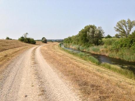 Arides bords du Rhône