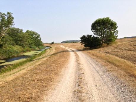 Arides bords du Rhône