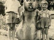 Pourquoi Stephen King devenu écrivain?