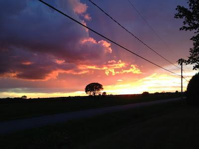 Ma vie comme un mauvais roman Ma vie comme un mauvais roman