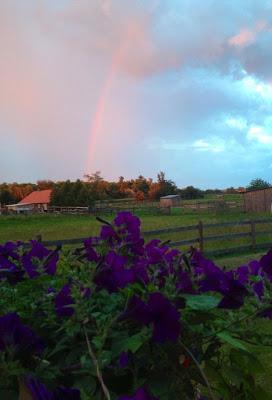 Ma vie comme un mauvais roman Ma vie comme un mauvais roman