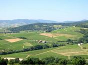 belle balade Vaux-en-Beaujolais...