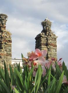 Le temple à Diane et l'aqueducto de los milagros