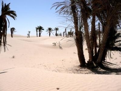 Sahara. Image libre de droits.