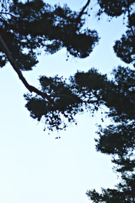 Copie de h&mIMG_0848