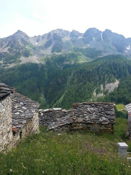 Haute route des Géants,  le Tor en sens inverse,  1ere étape.  Courmayeur/Saint Rhemy. Une jolie balade en montagne.