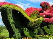 Connaissez vous Mosaïcultures Montréal