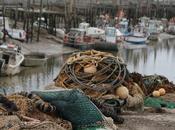 Port Chinois Beauvoir