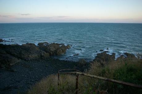 IMGP6484 - Pointe du Roc Granville