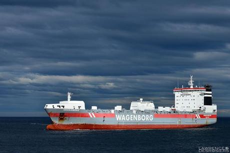 David contre Goliath...