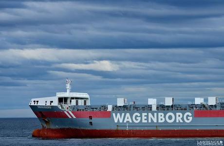 David contre Goliath...