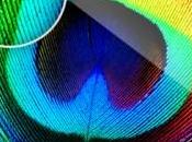 marché tablettes souffre l’absence nouveaux iPad