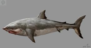  Quelques concept arts pour Assassin’s Creed IV: Black Flag  concept art assassin creed 4 