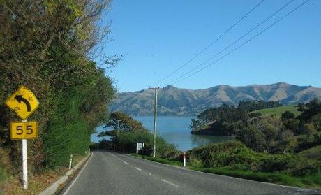 Nouvelle Zélande - Arthur's pass & Akaroa - les lubies de louise (21 sur 46)