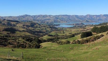 Nouvelle Zélande - Arthur's pass & Akaroa - les lubies de louise (19 sur 46)