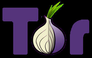 Le projet Tor à télécharger gratuitement pour anonymiser vos connexions internet et sécuriser votre vie privée sur le web