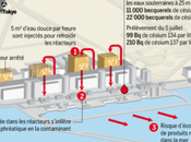 Fukushima: catastrophe