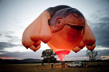 Patricia Piccinini - The Skywhale Hot Air Balloon