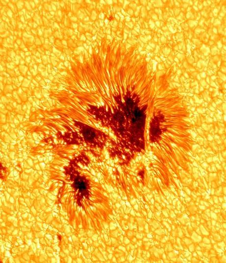 Image très détaillée d'une tache solaire capturée par le NST du plus important observatoire solaire au monde Big Bear Solar Observatory (BBSO)