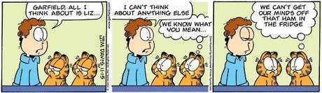 Garfield et les mèmes 0002