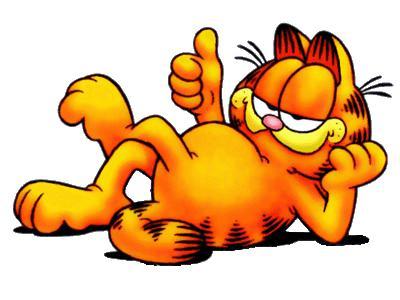 Garfield et les mèmes garfield