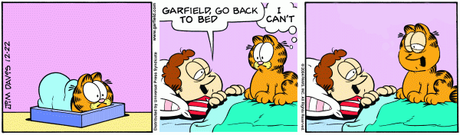 Garfield et les mèmes 1011