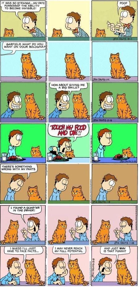 Garfield et les mèmes realfield